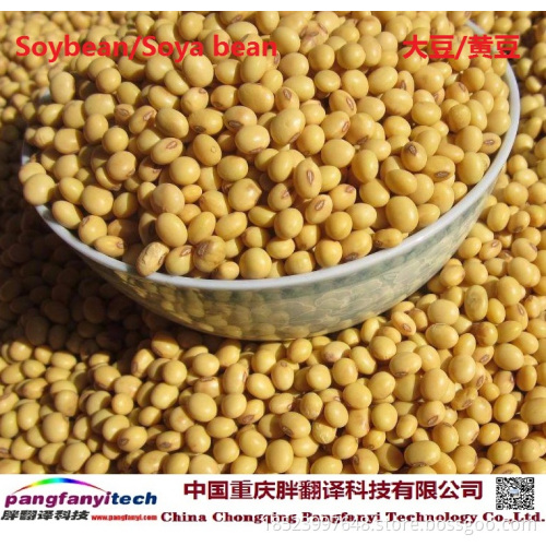 Healthy Nutritious Self-planted Dried Soybean